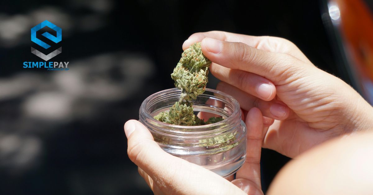 cannabis payment processing, cannabis credit card processing